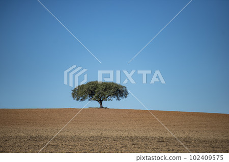 PORTUGAL ALENTEJO TERENA PORTUGAL ALENTEJO TERENA 102409575