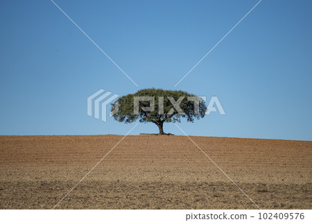 PORTUGAL ALENTEJO TERENA PORTUGAL ALENTEJO TERENA 102409576