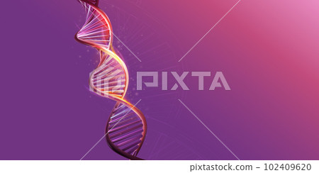 DNA double helix model on a purple background. DNA double helix model on a purple background. 102409620