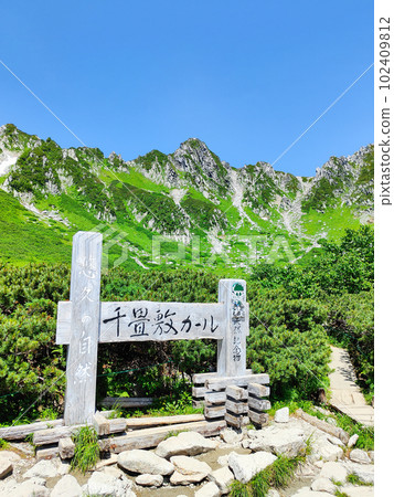 千疊敷捲曲(夏季) 千疊敷捲曲(夏季) 102409812