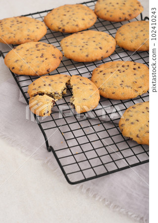 traditional american chocolate chip cookies on a rack on table. home made tasty crunchy cookies traditional american chocolate chip cookies on a rack on table. home made tasty crunchy cookies 102410243