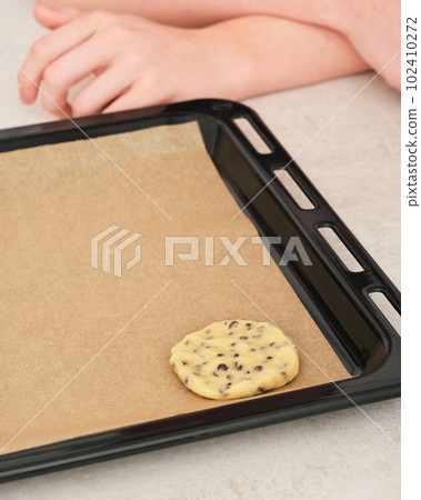 american traditional chip cookie. raw unbaked chocolate chip cookie on a baking sheet, vertical. american traditional chip cookie. raw unbaked chocolate chip cookie on a baking sheet, vertical. 102410272