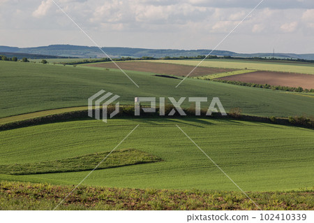Field waves with trees in the spring in South Moravia, Czech Republic 102410339