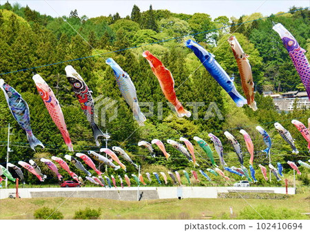 無數鯉魚在初夏的天空中翩翩起舞 102410694