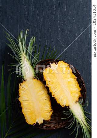 Bromeliad tropical leaves penglai banana background turtle leaf pineapple background パ イ ナ ッ プ ル Bromeliad tropical leaves penglai banana background turtle leaf pineapple background パ イ ナ ッ プ ル 102411014