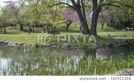 Fresh green/early summer cycling image (Nakajima Park, Sapporo) Fresh green/early summer cycling image (Nakajima Park, Sapporo) 102411169