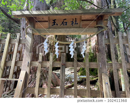 從正面看玉木神社的玉石森 從正面看玉木神社的玉石森 102411368