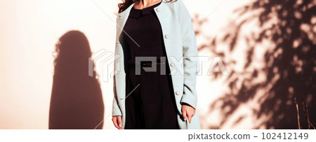 stylish in trendy coat posing in city stylish in trendy coat posing in city 102412149