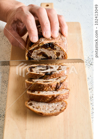 slice raisin bread 102413049