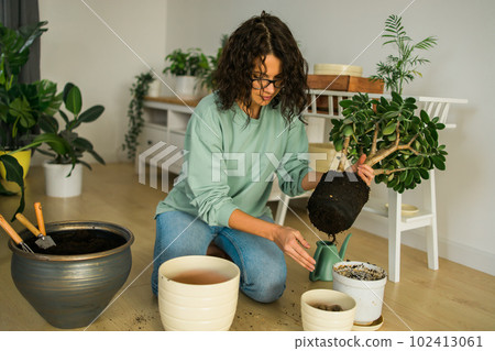 Smiling young woman and pot with plant happy work in indoor garden or cozy home office with different houseplants. Happy millennial female gardener or florist take care of domestic flower Smiling young woman and pot with plant happy work in indoor garden or cozy home office with different houseplants. Happy millennial female gardener or florist take care of domestic flower 102413061