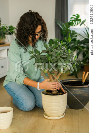 Woman grows potted plants at home watering and take care flowers - gardening and houseplant care concept Woman grows potted plants at home watering and take care flowers - gardening and houseplant care concept 102413063