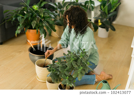 Woman grows potted plants at home watering and take care flowers - gardening and houseplant care concept 102413077