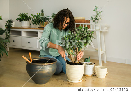 Woman grows potted plants at home watering and take care flowers - gardening and houseplant care concept Woman grows potted plants at home watering and take care flowers - gardening and houseplant care concept 102413130