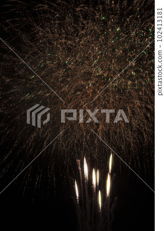 firework. A sparkling fireworks display. 102413181