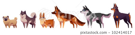 Cartoon set of dog breeds isolated on white 102414017