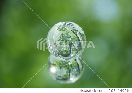 Eco image Forest Eco image Forest 102414036