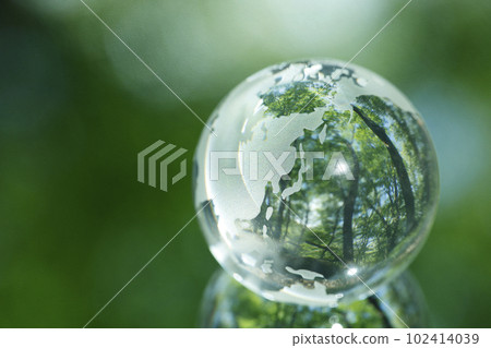 Eco image Forest 102414039