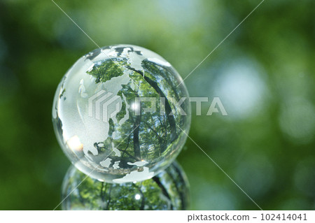 Eco image Forest 102414041