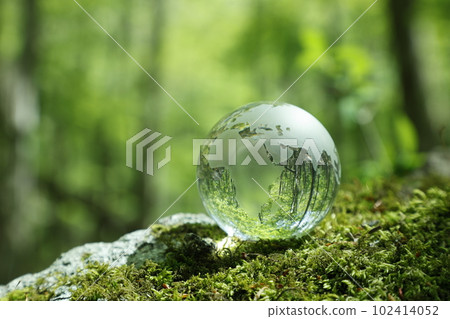 Eco image Forest 102414052