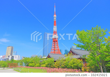 東京、東京鐵塔和清新的綠色風景 102415021