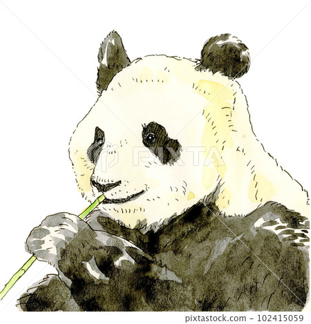 熊貓要吃竹草 102415059