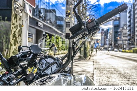 Tokyo touring on a large motorcycle 102415131