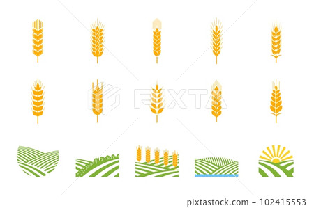 Spikes of wheat, rye, barley. Arable fields, agriculture industry. Crops farm, food market or agriculture company vector sign, craft beer brewery symbol or pictogram with rice, wheat and barley ears 102415553