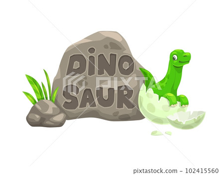 Cartoon baby dinosaur and newborn dino in egg. Prehistoric lizard, extinct dinosaur or paleontology reptile comical vector mascot. Isolated adorable brontosaurus baby dinosaur character in egg shell 102415560