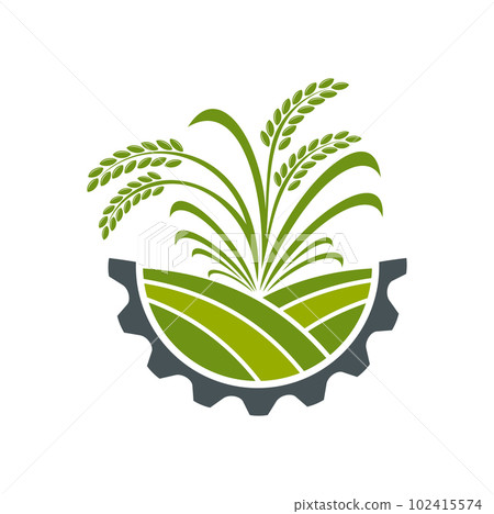 Agriculture icon, wheat ears or rye cereal spikes on field, vector farm symbol. Farmhouse, farmland or agro business and agriculture emblem of millet barley in gear wheel circle for farming sign Agriculture icon, wheat ears or rye cereal spikes on field, vector farm symbol. Farmhouse, farmland or agro business and agriculture emblem of millet barley in gear wheel circle for farming sign 102415574