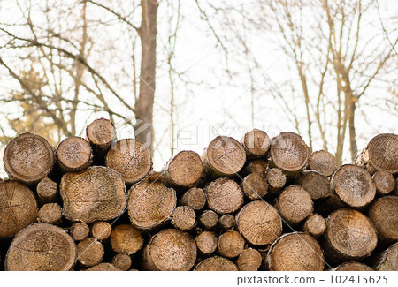 Many tree trunks on storage place. Background texture. Many tree trunks on storage place. Background texture. 102415625