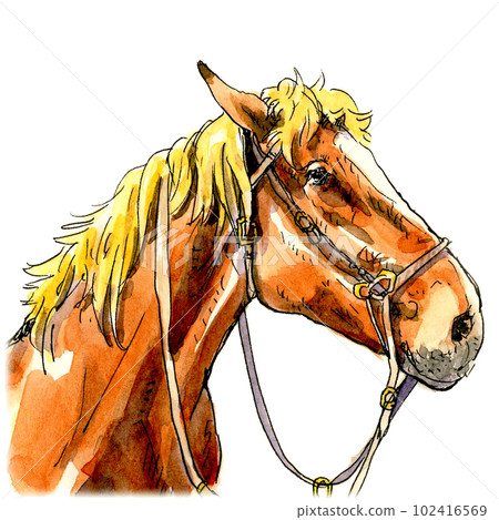 側身的馬 102416569