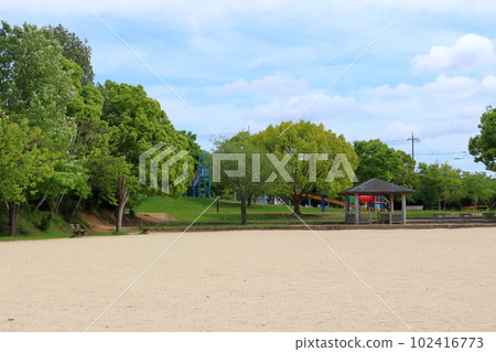 Scenery of a green park Scenery of a green park 102416773