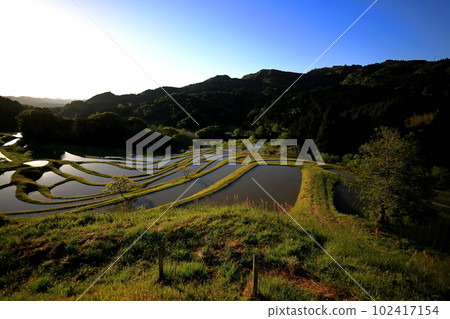 100 Selected Rice Terraces in Japan Oyama Senmaida / Kamogawa City, Chiba Prefecture 102417154