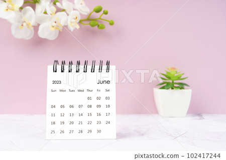 The June 2023 desk calendar and white orchid one pink color background. 102417244