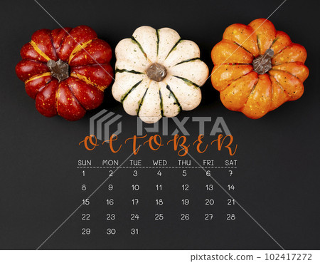 The October 2023 Calendar and pumpkins on black color background. The October 2023 Calendar and pumpkins on black color background. 102417272