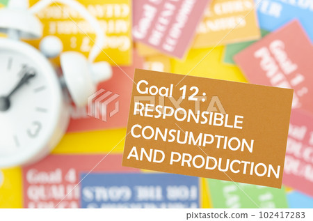 The Goal 12 102417283