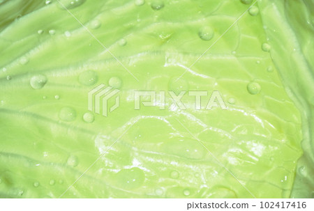 close up of fresh cabbage vegetable salad with drop of water arranging on white background  102417416