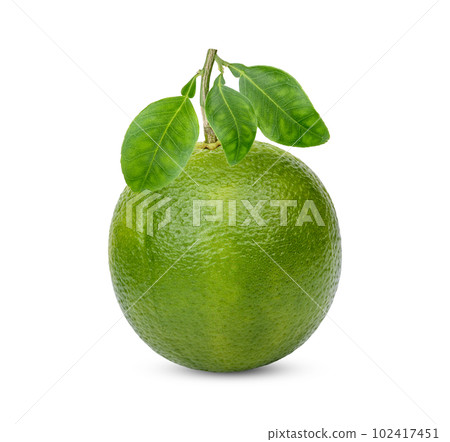 Fresh orange with leaves isolated on white background 102417451