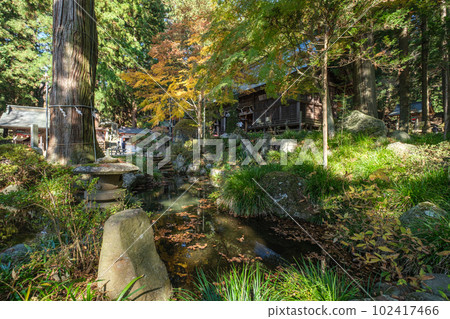 Kawaguchi Sengen Shrine, Sunlight filtered through the trees, Fujikawaguchiko Town, Yamanashi Prefecture 102417466