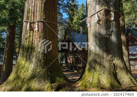 山梨縣富士河口湖町川口淺間神社,巨大的七棵杉樹和禮拜堂 山梨縣富士河口湖町川口淺間神社,巨大的七棵杉樹和禮拜堂 102417469