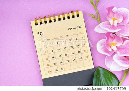The October 2023 calendar desk and pink orchid on pink background. The October 2023 calendar desk and pink orchid on pink background. 102417799