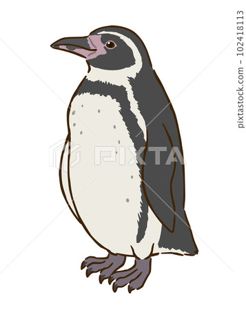 洪堡企鵝 102418113