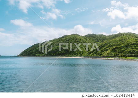 沖繩的海和山原的樹 102418414