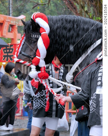 參加妙見祭的裝飾馬（熊本縣八代市） 102418584