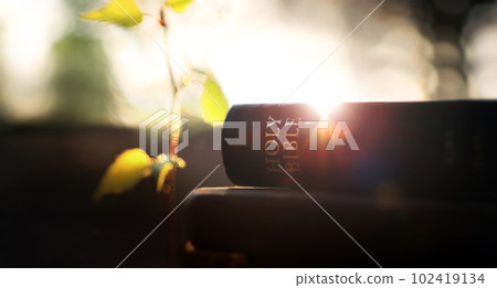 Intense light shines through the leaves of trees in a beautiful forest at sunset, the holy word of God Bible book background Intense light shines through the leaves of trees in a beautiful forest at sunset, the holy word of God Bible book background 102419134