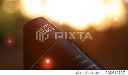 Intense light in the forest at sunset, the holy Bible of the Word of God, and a fantastic and mysterious background 102419137