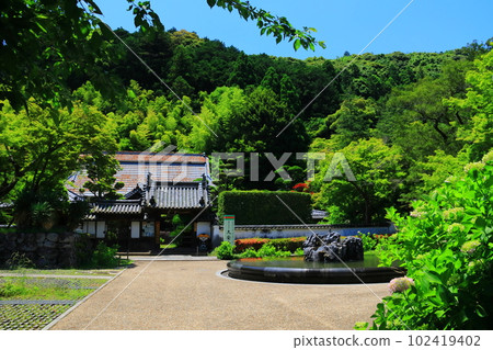 寬寺的新綠(大阪府池田市) 寬寺的新綠(大阪府池田市) 102419402