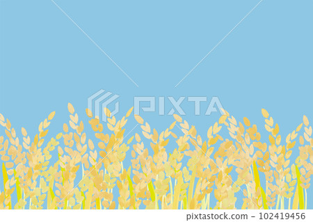 Rice landscape illustration of rice Rice landscape illustration of rice 102419456