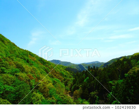 Futasegawa mountain stream The scenery seen from Shindoji Bridge 102419830