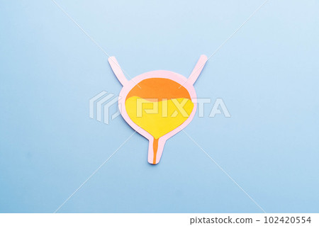 Bladder organ shape made from paper on light blue background. Awareness of bladder cancer, urinary tract infection, urinary incontinence and overactive bladder. 102420554